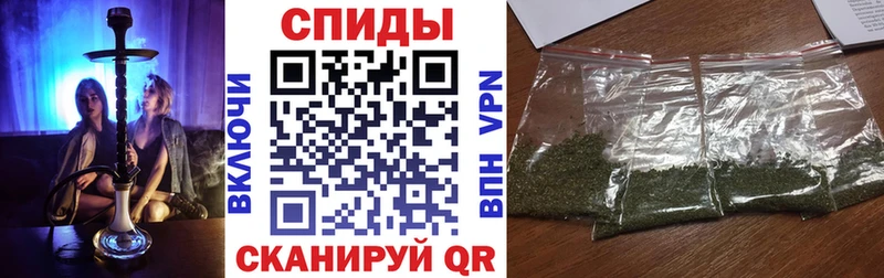 БУТИРАТ буратино  где найти   Кадников 