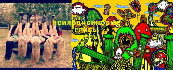 соль ск Абинск