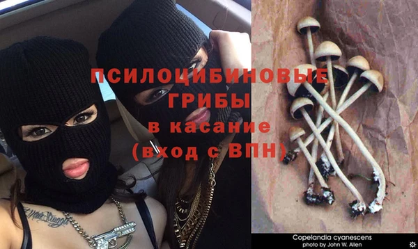 прущая мука Барнаул