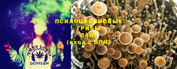 ешки Алексин