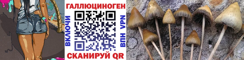 Псилоцибиновые грибы Cubensis MEGA как зайти Кадников